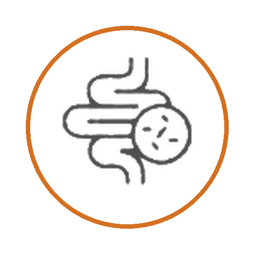 Digestive