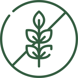 Gluten Free Icon