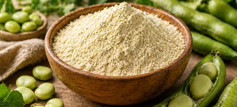 Fava Bean Protein